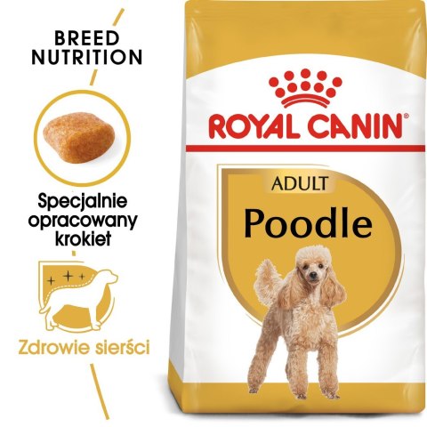 ROYAL CANIN Poodle 1,5kg Royal Canin ROYAL CANIN Poodle 1,5kg Royal Canin