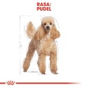 ROYAL CANIN Poodle 1,5kg Royal Canin