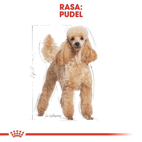 ROYAL CANIN Poodle 1,5kg Royal Canin ROYAL CANIN Poodle 1,5kg Royal Canin