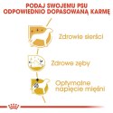 ROYAL CANIN Poodle 1,5kg Royal Canin