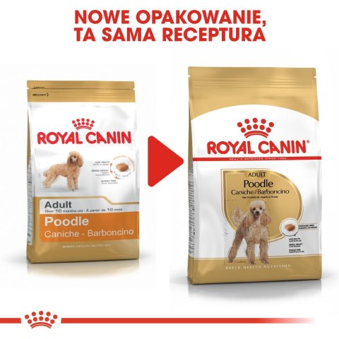 ROYAL CANIN Poodle 1,5kg Royal Canin ROYAL CANIN Poodle 1,5kg Royal Canin