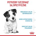 ROYAL CANIN Puppy Mini SHN - sucha karma dla szczeniąt - 8 kg Royal Canin