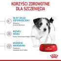 ROYAL CANIN Puppy Mini SHN - sucha karma dla szczeniąt - 8 kg Royal Canin