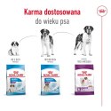 ROYAL CANIN SHN Giant Adult - sucha karma dla psa dorosłego - 15 kg Royal Canin