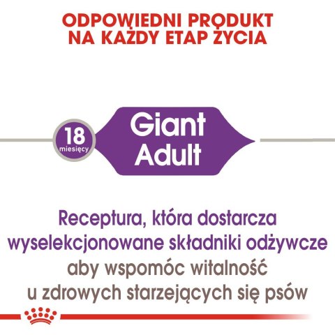 ROYAL CANIN SHN Giant Adult - sucha karma dla psa dorosłego - 15 kg Royal Canin ROYAL CANIN SHN Giant Adult - sucha karma dla psa dorosłego - 15 kg Royal Canin