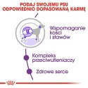 ROYAL CANIN SHN Giant Adult - sucha karma dla psa dorosłego - 15 kg Royal Canin
