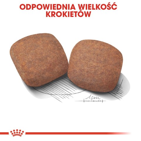 ROYAL CANIN SHN Giant Adult - sucha karma dla psa dorosłego - 15 kg Royal Canin ROYAL CANIN SHN Giant Adult - sucha karma dla psa dorosłego - 15 kg Royal Canin