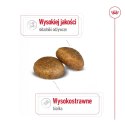 ROYAL CANIN SHN Maxi Adult - sucha karma dla psa dorosłego - 15 kg Royal Canin