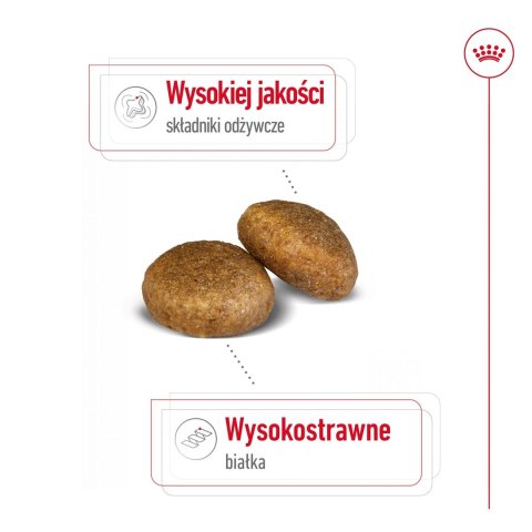 ROYAL CANIN SHN Maxi Adult - sucha karma dla psa dorosłego - 15 kg Royal Canin ROYAL CANIN SHN Maxi Adult - sucha karma dla psa dorosłego - 15 kg Royal Canin