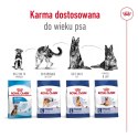 ROYAL CANIN SHN Maxi Adult - sucha karma dla psa dorosłego - 15 kg Royal Canin