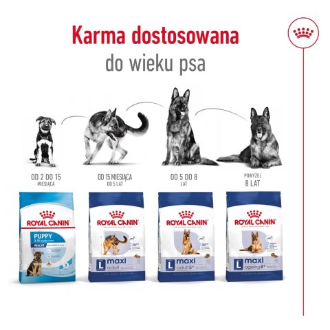 ROYAL CANIN SHN Maxi Adult - sucha karma dla psa dorosłego - 15 kg Royal Canin ROYAL CANIN SHN Maxi Adult - sucha karma dla psa dorosłego - 15 kg Royal Canin