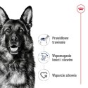 ROYAL CANIN SHN Maxi Adult - sucha karma dla psa dorosłego - 15 kg Royal Canin