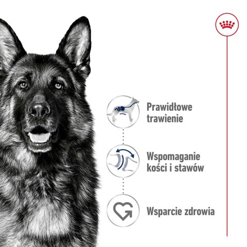 ROYAL CANIN SHN Maxi Adult - sucha karma dla psa dorosłego - 15 kg Royal Canin ROYAL CANIN SHN Maxi Adult - sucha karma dla psa dorosłego - 15 kg Royal Canin