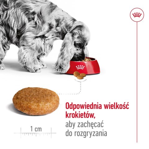 ROYAL CANIN SHN Medium Adult BF 15kg Royal Canin ROYAL CANIN SHN Medium Adult BF 15kg Royal Canin