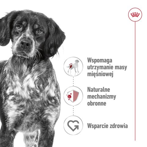 ROYAL CANIN SHN Medium Adult BF 15kg Royal Canin ROYAL CANIN SHN Medium Adult BF 15kg Royal Canin