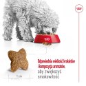 ROYAL CANIN SHN Mini Adult BF 8kg Royal Canin