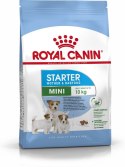 ROYAL CANIN Starter Mini Mother & Babydog - sucha karma dla szczeniąt i suk w ciąży oraz okresie laktacji - 1 kg Royal Canin