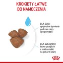 ROYAL CANIN Starter Mini Mother & Babydog - sucha karma dla szczeniąt i suk w ciąży oraz okresie laktacji - 1 kg Royal Canin
