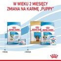 ROYAL CANIN Starter Mini Mother & Babydog - sucha karma dla szczeniąt i suk w ciąży oraz okresie laktacji - 1 kg Royal Canin