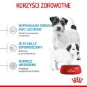 ROYAL CANIN Starter Mini Mother & Babydog - sucha karma dla szczeniąt i suk w ciąży oraz okresie laktacji - 1 kg Royal Canin