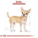 Royal Canin BHN Chihuahua Adult - sucha karma dla psa dorosłego - 1,5kg Royal Canin