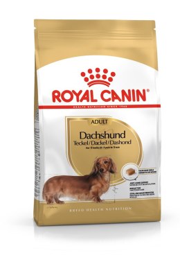Royal Canin BHN Dachshund Adult - sucha karma dla psa dorosłego - 1,5kg Royal Canin