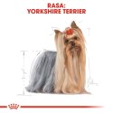 Royal Canin BHN Yorkshire Terrier Adult - sucha karma dla psa dorosłego - 1,5 kg Royal Canin