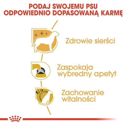 Royal Canin BHN Yorkshire Terrier Adult - sucha karma dla psa dorosłego - 1,5 kg Royal Canin Royal Canin BHN Yorkshire Terrier Adult - sucha karma dla psa dorosłego - 1,5 kg Royal Canin