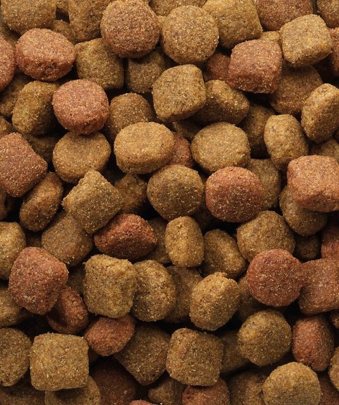 VERSELE-LAGA Classic Duo Krok - sucha karma dla psa - 20 kg VERSELE-LAGA VERSELE-LAGA Classic Duo Krok - sucha karma dla psa - 20 kg VERSELE-LAGA