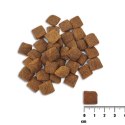 VetExpert Raw Paleo Healthy Grain Salmon&Barley Adult - Karma sucha dla psów - 10kg VetExpert