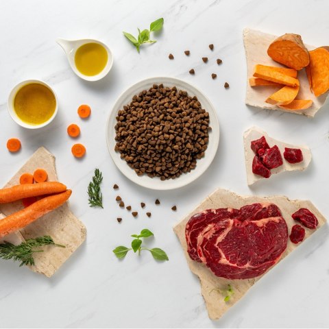 VetExpert Raw Paleo Ultra Wołowina Medium&Large Adult 10kg VetExpert VetExpert Raw Paleo Ultra Wołowina Medium&Large Adult 10kg VetExpert