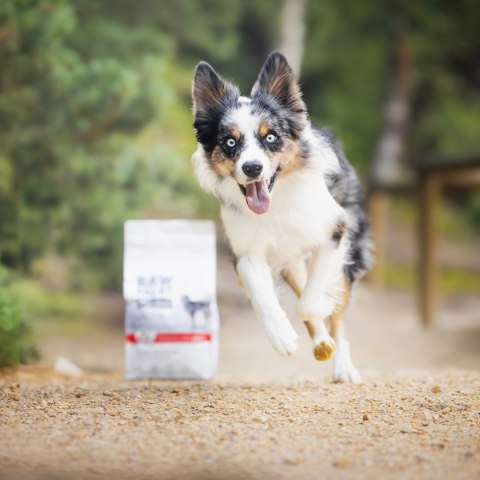 VetExpert Raw Paleo Ultra Wołowina Medium&Large Puppy 10kg VetExpert VetExpert Raw Paleo Ultra Wołowina Medium&Large Puppy 10kg VetExpert