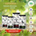 BIOFEED Euphoria G-F MINI&SMALL wołowina 2kg BIOFEED