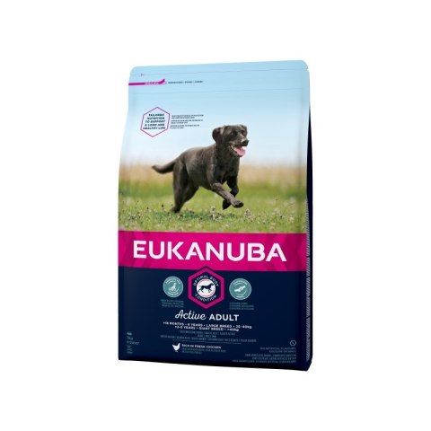 EUKANUBA Active Adult Large Breed- sucha karma dla psów dorosłych, dużych ras, z kurczakiem - 3kg EUKANUBA