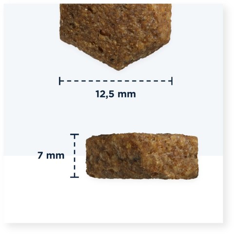 EUKANUBA Szczenie duża rasa bez zbóż ryba oceaniczna - sucha karma dla psa - 3 kg EUKANUBA EUKANUBA Szczenie duża rasa bez zbóż ryba oceaniczna - sucha karma dla psa - 3 kg EUKANUBA