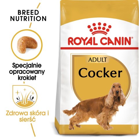 ROYAL CANIN BHN Cocker Adult - sucha karma dla psa dorosłego - 12 kg Royal Canin ROYAL CANIN BHN Cocker Adult - sucha karma dla psa dorosłego - 12 kg Royal Canin