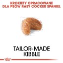 ROYAL CANIN BHN Cocker Adult - sucha karma dla psa dorosłego - 12 kg Royal Canin
