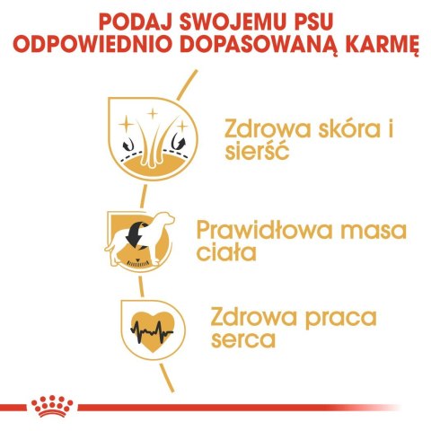 ROYAL CANIN BHN Cocker Adult - sucha karma dla psa dorosłego - 12 kg Royal Canin ROYAL CANIN BHN Cocker Adult - sucha karma dla psa dorosłego - 12 kg Royal Canin