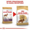 ROYAL CANIN BHN Cocker Adult - sucha karma dla psa dorosłego - 12 kg Royal Canin