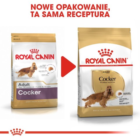 ROYAL CANIN BHN Cocker Adult - sucha karma dla psa dorosłego - 12 kg Royal Canin ROYAL CANIN BHN Cocker Adult - sucha karma dla psa dorosłego - 12 kg Royal Canin