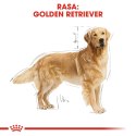 ROYAL CANIN BHN Golden Retriever - sucha karma dla psa dorosłego - 12 kg Royal Canin