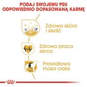 ROYAL CANIN BHN Golden Retriever - sucha karma dla psa dorosłego - 12 kg Royal Canin