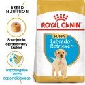 ROYAL CANIN BHN Labrador Retriever Puppy - sucha karma dla szczeniąt - 3kg Royal Canin