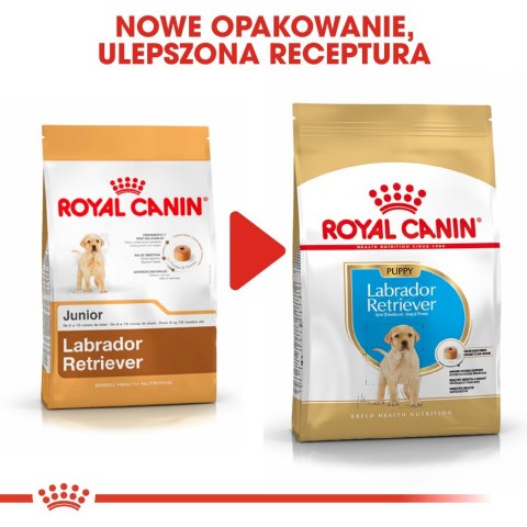ROYAL CANIN BHN Labrador Retriever Puppy - sucha karma dla szczeniąt - 3kg Royal Canin ROYAL CANIN BHN Labrador Retriever Puppy - sucha karma dla szczeniąt - 3kg Royal Canin