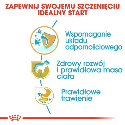 ROYAL CANIN BHN Labrador Retriever Puppy - sucha karma dla szczeniąt - 3kg Royal Canin ROYAL CANIN BHN Labrador Retriever Puppy - sucha karma dla szczeniąt - 3kg Royal Canin