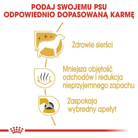 ROYAL CANIN BHN Maltese Adult - sucha karma dla psa dorosłego - 1,5kg Royal Canin ROYAL CANIN BHN Maltese Adult - sucha karma dla psa dorosłego - 1,5kg Royal Canin
