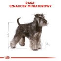 ROYAL CANIN BHN Miniature Schnauzer Adult - sucha karma dla psa dorosłego - 3kg Royal Canin