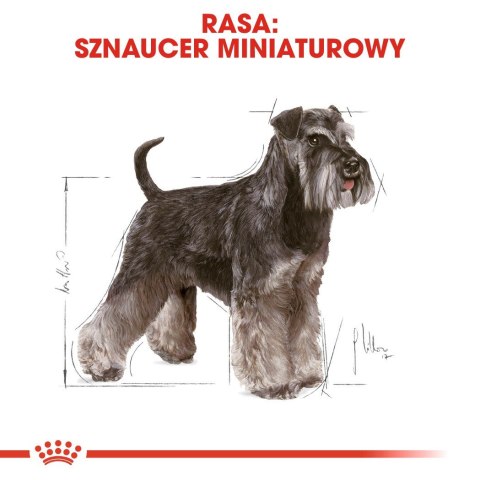ROYAL CANIN BHN Miniature Schnauzer Adult - sucha karma dla psa dorosłego - 3kg Royal Canin ROYAL CANIN BHN Miniature Schnauzer Adult - sucha karma dla psa dorosłego - 3kg Royal Canin