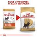 ROYAL CANIN BHN Miniature Schnauzer Adult - sucha karma dla psa dorosłego - 3kg Royal Canin