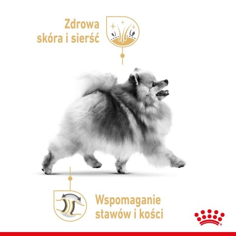 ROYAL CANIN BHN Pomeranian Adult - sucha karma dla psa dorosłego - 3kg Royal Canin ROYAL CANIN BHN Pomeranian Adult - sucha karma dla psa dorosłego - 3kg Royal Canin
